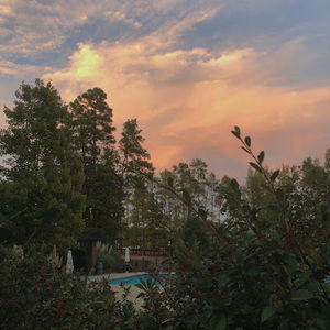 Meet your Posher, Soph